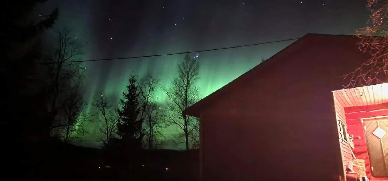 Cosy Cabin In North-Norway, Nearby Senja. Sorreisa 외부 사진