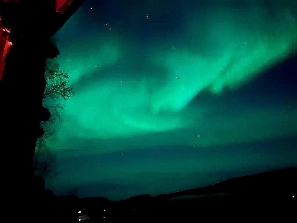 Cosy Cabin In North-Norway, Nearby Senja. Sorreisa 외부 사진